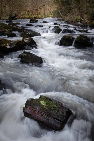 Vertikal Bild Vacker Sjö Som Rinner Genom Skogen Refugio Verdes — Stockfoto