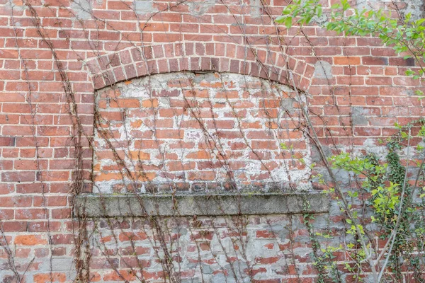 Armazém Tijolos Abandonado Com Plantas Dayton Ohio — Fotografia de Stock