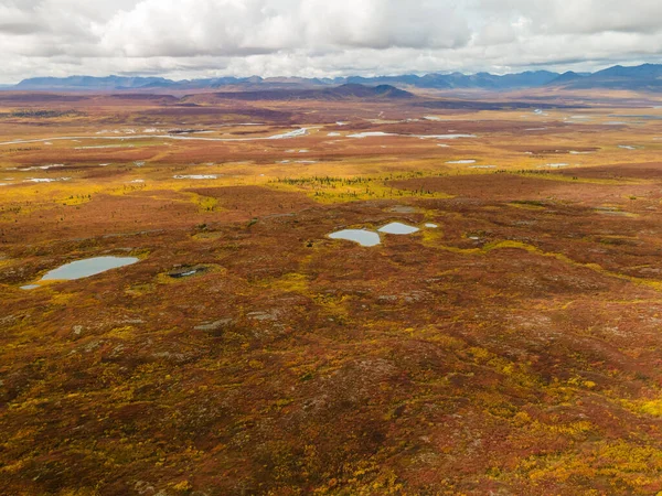 Alaska Nın Arka Planında Sonbahar Renklerinde Küçük Göllerin Hava Manzarası — Stok fotoğraf