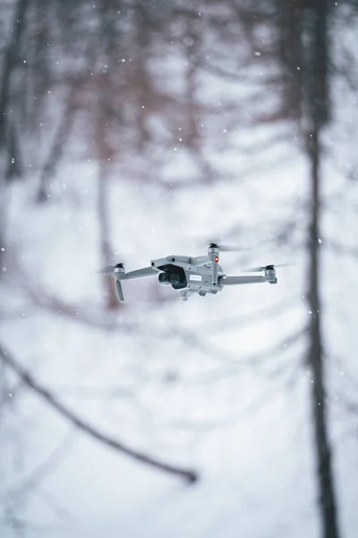 Drone Dji Che Vola Nella Foresta Innevata — Foto Stock