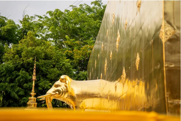 タイのチェンマイにある木のそばにあるワット シン寺院の黄金の象像の美しいショット — ストック写真