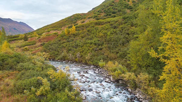 Tiro Aéreo Rio Cercado Por Árvores Cores Outono Uma Paisagem — Fotografia de Stock