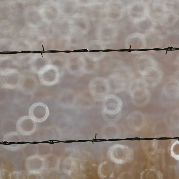 Detailní Záběr Ostnatého Drátu Plotu Koblihovým Bokeh Pozadím — Stock fotografie