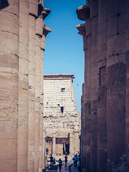 哈特谢普苏特停尸房古老历史柱遗迹的垂直拍摄 — 图库照片
