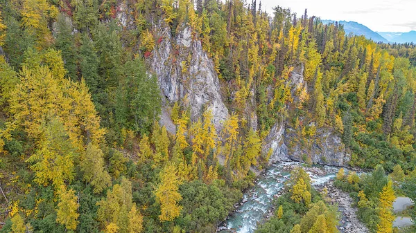 昼間の野生の風景の中に秋の木々に囲まれた川の空中ショット — ストック写真