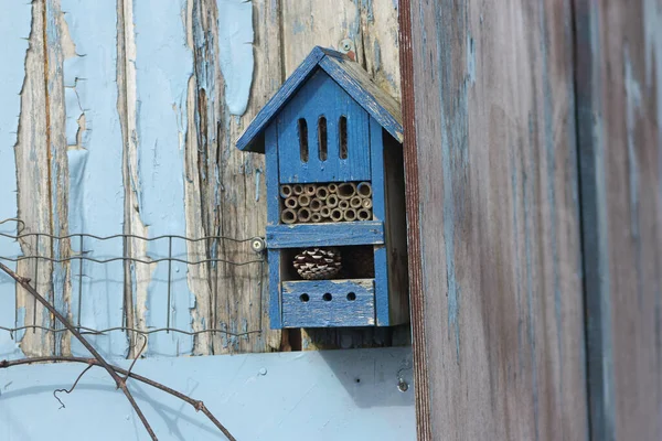 Een Closeup Van Een Blauwe Van Hout Insect Huis Hing — Stockfoto