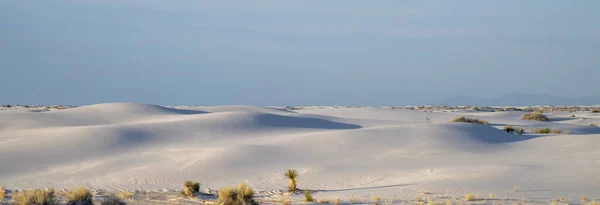 Μια Πανοραμική Θέα Ενός Όμορφου Δάσους Χειμώνα Στο White Sands — Φωτογραφία Αρχείου