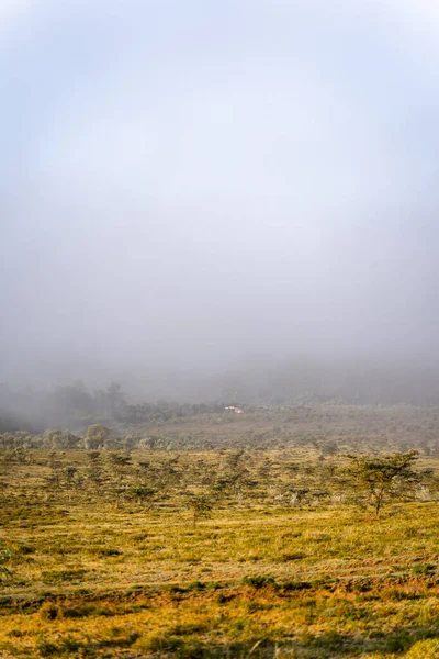 Sis Altındaki Longonot Dağı Nın Dikey Görüntüsü — Stok fotoğraf