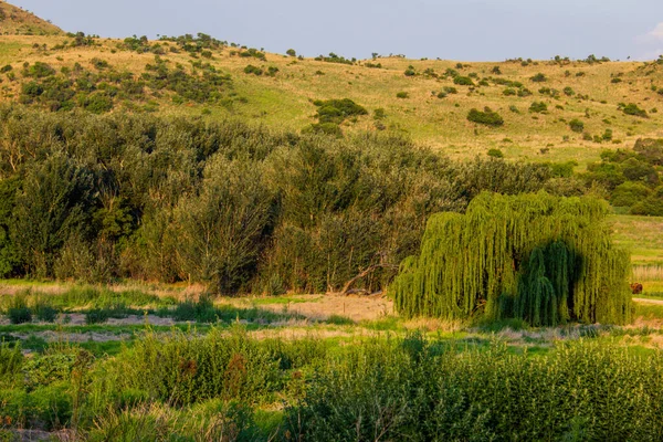 Krásný Výhled Divokou Krajinu Horách — Stock fotografie