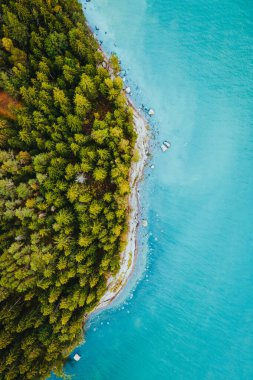 Yeşil ormanın dikey mavi bir deniz manzarası.