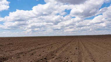Arazinin üstündeki mavi gökyüzünün güzel bulutları.
