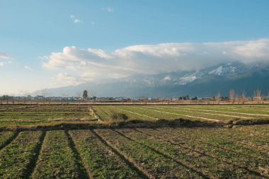 Yunnan, Çin 'deki Cang Dağı ve tarlanın güzel bir manzarası..