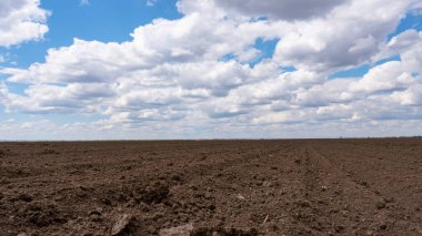 Arazinin üstündeki mavi gökyüzünün güzel bulutları.