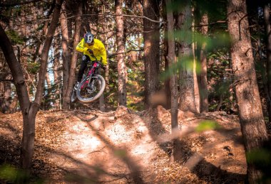 A closeup of a person riding a bicycle in a forest