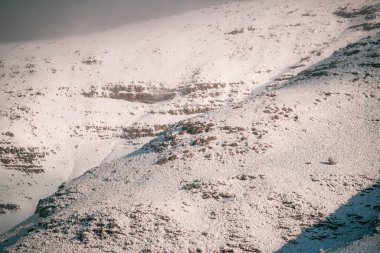 Güney Afrika, Matroosberg 'de gri bir gökyüzüne karşı karla kaplı güzel bir manzara.