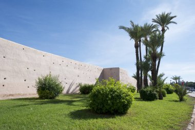 Fas 'ta palmiye ağaçları ve çalıların yanında eski bir duvar.