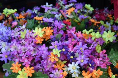 Güneşin altında çiçek açan güzel renkli bir çiçek.