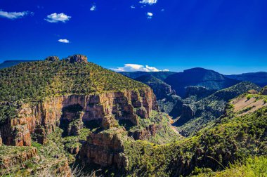 Arizona 'daki Salt River Kanyonu' nun büyüleyici manzarası yeşille kaplıydı.