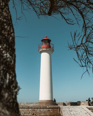 Mavi bir arka planda, ağaç dalları arasından çevrili bir deniz fenerinin dikey görüntüsü