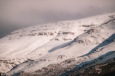 Güney Afrika, Matroosberg 'de gri bir gökyüzüne karşı karla kaplı güzel bir manzara.