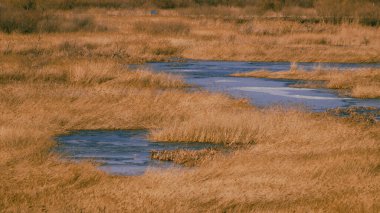Mavi su birikintileriyle kahverengi bataklık.