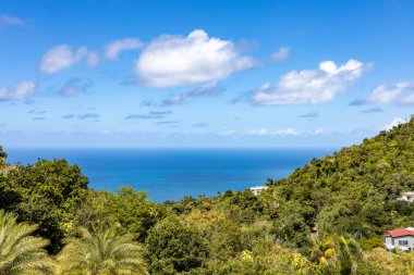 Karayipler 'deki Saint Thomas Adası' nda bir yaz günü. Okyanusun üzerinde küçük bulutlar uçuşuyor.