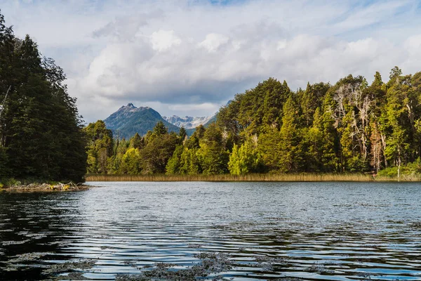 Het Prachtige Zomerlandschap Met Het Meer Omgeven Door Groene Bomen — Stockfoto