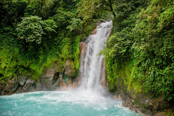 Una Vista Ipnotizzante Una Cascata Con Alberi Fiume Nel Parco — Foto Stock