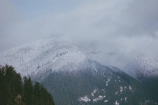Uma Vista Panorâmica Das Montanhas Cobertas Neve Cercadas Árvores Verdes — Fotografia de Stock