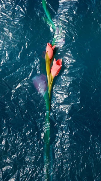 Fiore Rosa Gladiolus Fondo Sacchetto Plastica Rugoso Blu — Foto Stock