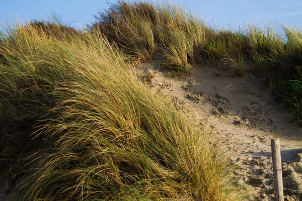 Ein Heller Sommertag Der Nähe Des Strandes Ijmuiden Aan Zee — Stockfoto