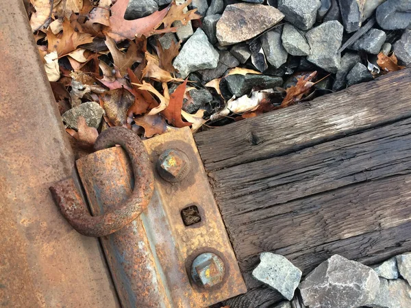 Close Van Een Trein Spoor Herfst Met Prachtige Bladeren Details — Stockfoto