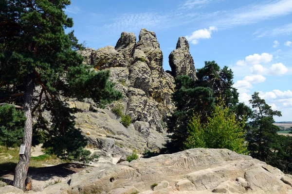 Güneşli bir günde kayalık bir dağ ve ormanın doğal manzarası.