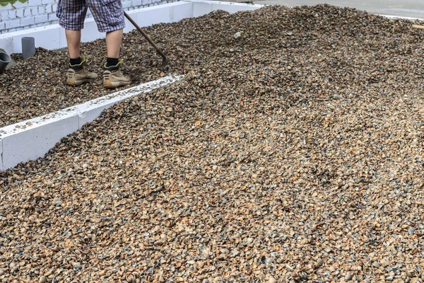 İnşaat malzemesi olarak kullanılan deniz kabuklarının görüntüsü