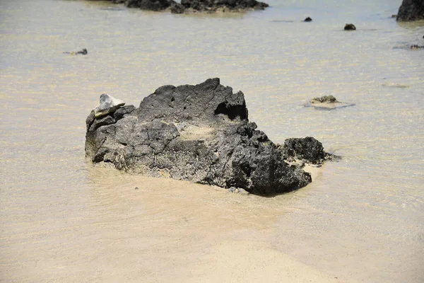 Närbild Sten Havet — Stockfoto