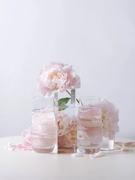 Vertikal Bild Vackra Rosa Pion Blommor Glasvas Vit Bakgrund — Stockfoto