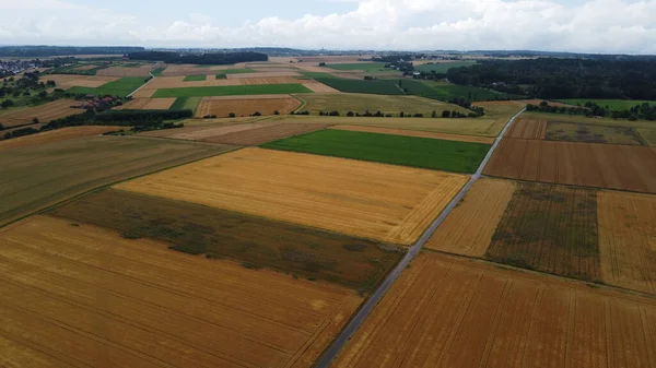 Una Vista Aérea Árboles Campos Agrícolas Campo — Foto de Stock