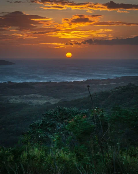 哥斯达黎加瓜纳卡斯特市拉克鲁斯海岸上方的金色落日的垂直镜头 — 图库照片