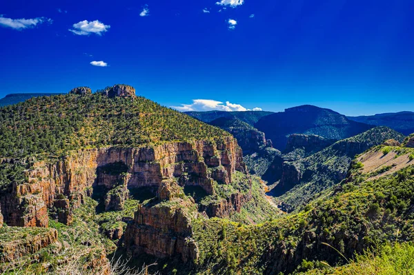 Une Vue Fascinante Sur Canyon Salt River Arizona Recouvert Vert — Photo
