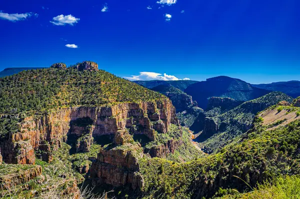 Arizona 'daki Salt River Kanyonu' nun büyüleyici manzarası yeşille kaplıydı.