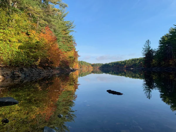 青空の下でカラフルな木々に囲まれた湖の自然景観 — ストック写真