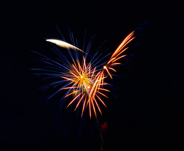 Bright Colorful Splashes Firework Dark Sky National Holiday —  Fotos de Stock