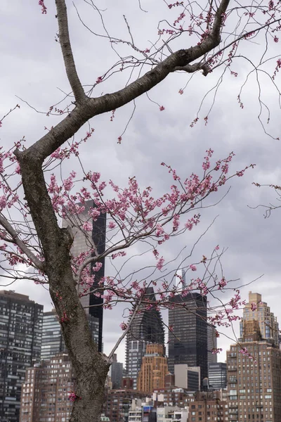 Een Verticale Opname Van Moderne Gebouwen Een Bewolkte Dag — Stockfoto