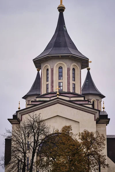 Tiro Vertical Uma Bela Igreja Com Árvores Outono Frente Oradea — Fotografia de Stock