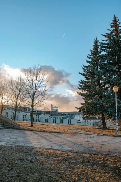 Vertikale Aufnahme Eines Parks Mit Bäumen Auf Dem Hintergrund Eines — Stockfoto