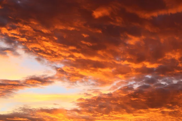 Plano Bajo Ángulo Del Cielo Rojizo Con Nubes Atardecer —  Fotos de Stock