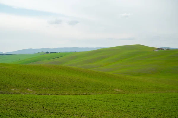 Una Vista Panorámica Los Prados Francigena Toscana Italia —  Fotos de Stock