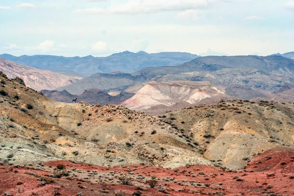 Piękny Widok Dolinę Fire State Park Nevada Usa — Zdjęcie stockowe
