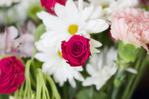 A closeup photo of beautiful dark pink roses and white daisies in nature