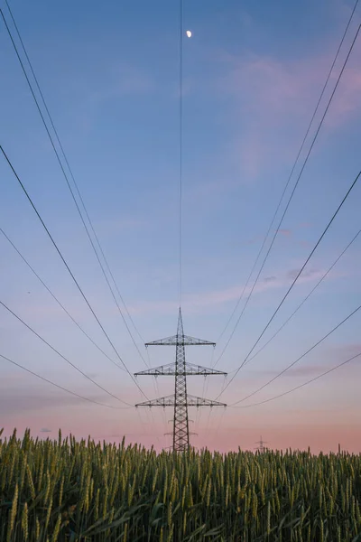 Disparo Vertical Una Torre Eléctrica Muchos Cables Que Vienen Ella — Foto de Stock